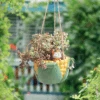 Peeking From A Cob Hanging Resin Succulent Pot -Cute Farms Shop 13 bf63552e 3752 4cc8 8dd4 91435d54b182