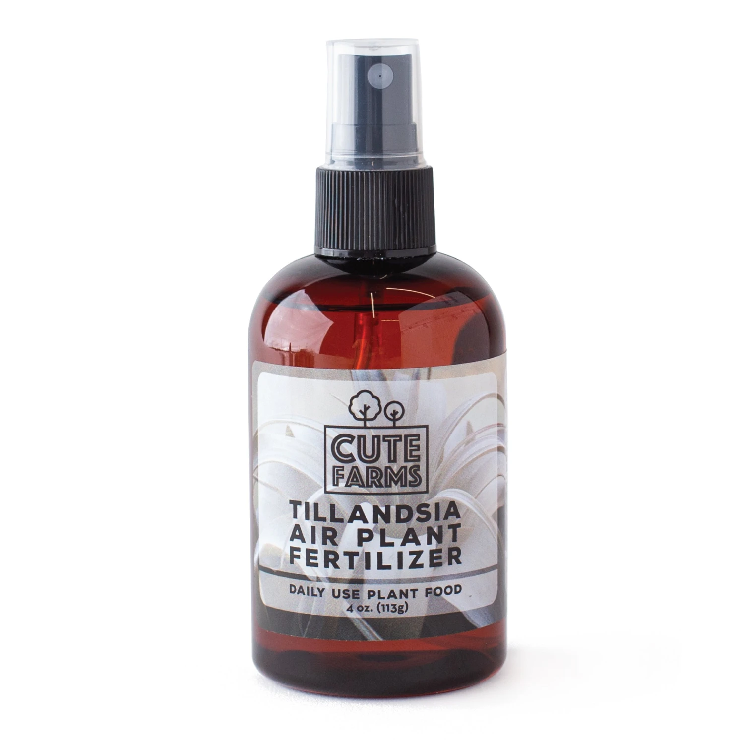 Tillandsia Air Plant Fertilizer - Daily Use 7 Tillandsia Air Plant Fertilizer - Daily Use - Image 7