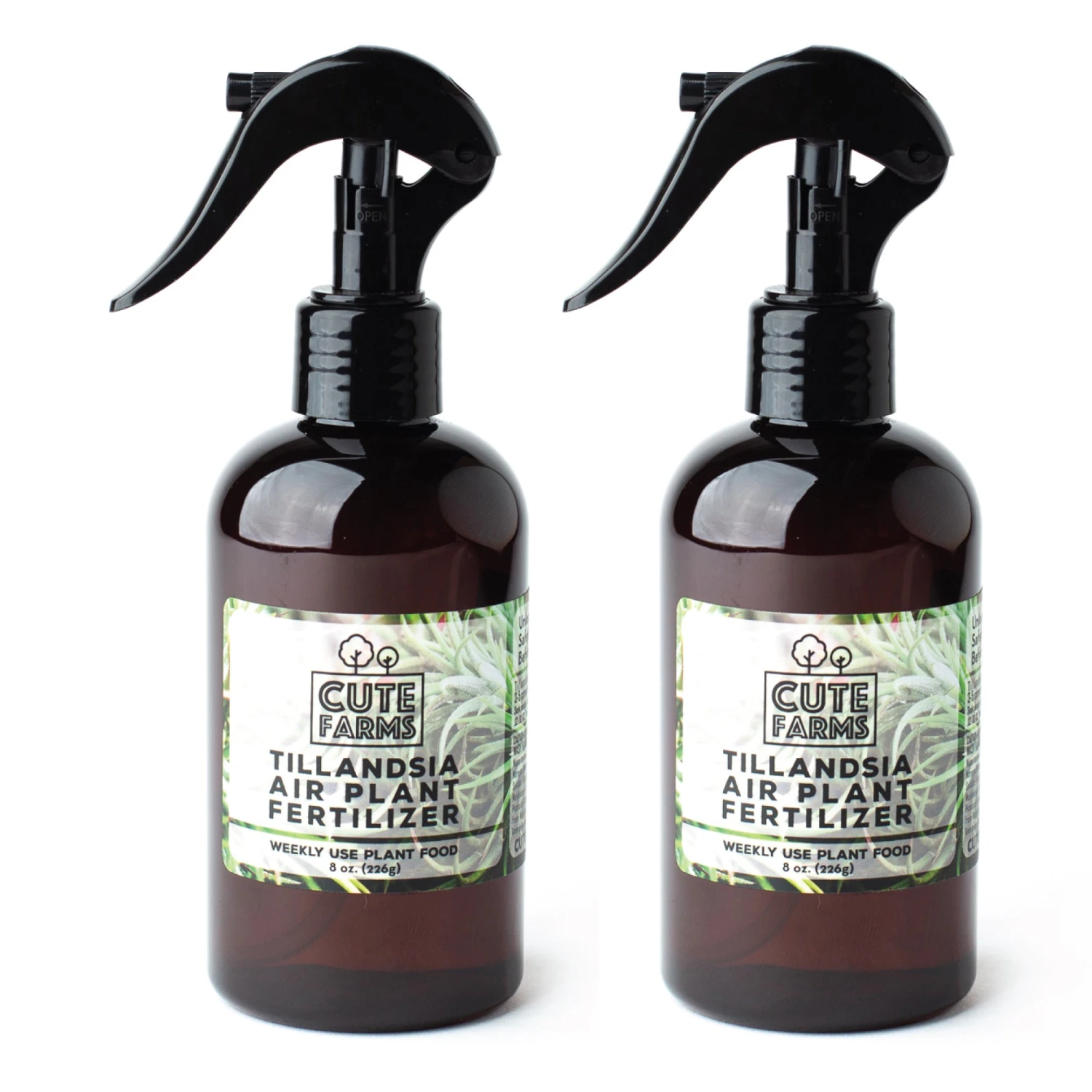 Tillandsia Air Plant Fertilizer - Weekly Use 9 Tillandsia Air Plant Fertilizer - Weekly Use - Image 9