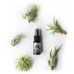 Tillandsia Air Plant Fertilizer - Daily Use 23 Tillandsia Air Plant Fertilizer - Daily Use -Cute Farms Shop Air Plant 5 Pack be2fd774 9d93 485d adaf 30a8e50832a4