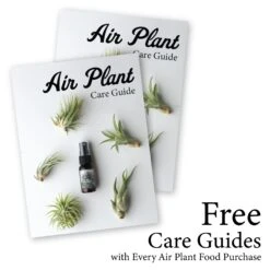 Tillandsia Air Plant Fertilizer + ONE Fine Mist Water Sprayer -Cute Farms Shop AirPlantCareGuides
