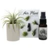 Air Plant And Succulent Holder - White -Cute Farms Shop AirPlantHolderWhite e11d0b2e 382e 45c4 b3b8 c55893d56b66