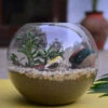 Bird And The Pitcher Terrarium Kit -Cute Farms Shop Bird and the pitcher 1