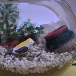 Bird And The Pitcher Terrarium Kit 5 Bird And The Pitcher Terrarium Kit -Cute Farms Shop Bird and the pitcher 3