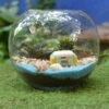 Camping By The Beach Terrarium Kit -Cute Farms Shop Camping By the beach 1