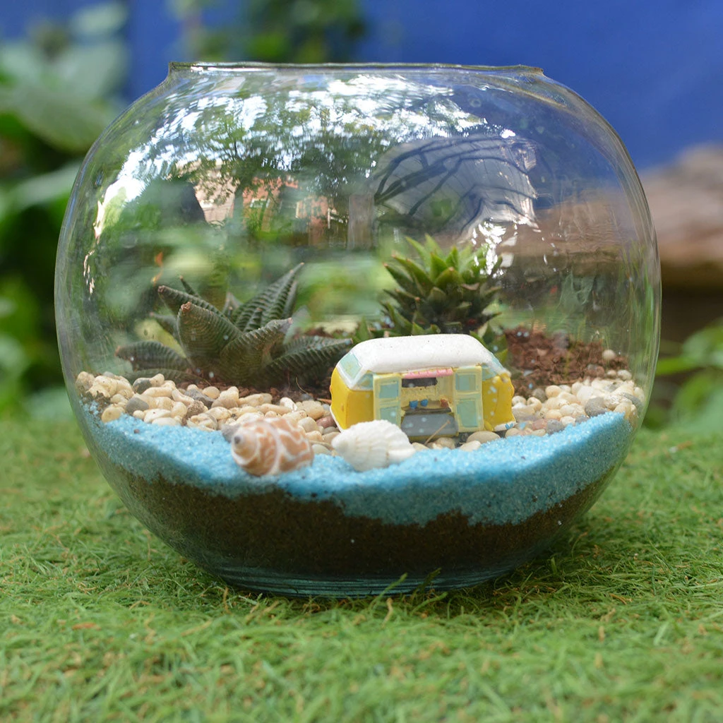 Camping By The Beach Terrarium Kit 1 Camping By The Beach Terrarium Kit