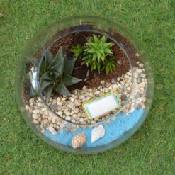Camping By The Beach Terrarium Kit 6 Camping By The Beach Terrarium Kit -Cute Farms Shop Camping By the beach 3