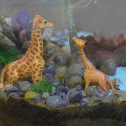 Chatting Up The Adenium Terrarium Kit 8 Chatting Up The Adenium Terrarium Kit -Cute Farms Shop Chatting up the Adenium 2