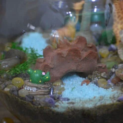 Chatting Up The Adenium Terrarium Kit 9 Chatting Up The Adenium Terrarium Kit -Cute Farms Shop Chatting up the Adenium 3