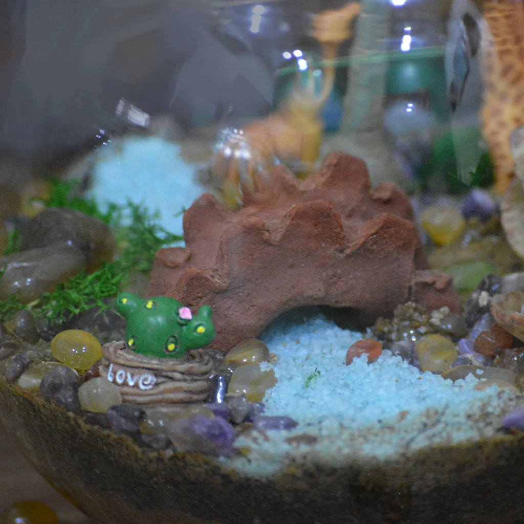 Chatting Up The Adenium Terrarium Kit 5 Chatting Up The Adenium Terrarium Kit - Image 5