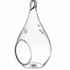 Hanging Teardrop Glass -Cute Farms Shop ClearHangingPearGlassTerrarium