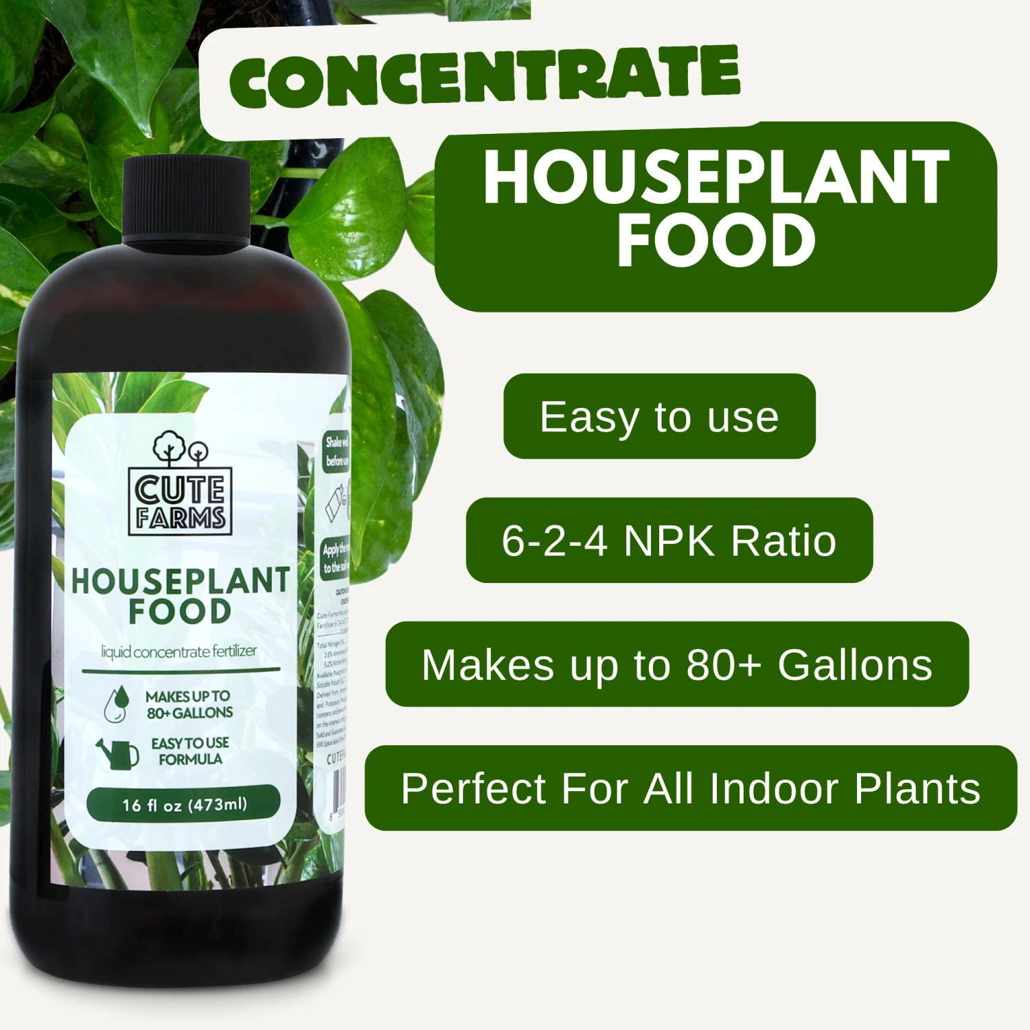 Houseplant Food - Concentrated Fertilizer (16oz) 6 Houseplant Food - Concentrated Fertilizer (16oz) - Image 6