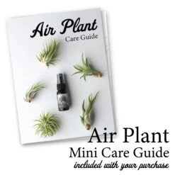 Tillandsia Air Plant Fertilizer - Weekly Use 18 Tillandsia Air Plant Fertilizer - Weekly Use -Cute Farms Shop Cute Farms Free Air Plant Guides Included 0bc88641 1a43 497b 9617 41acdba4cc3d