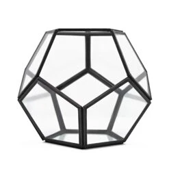 Geometric Terrarium Glass