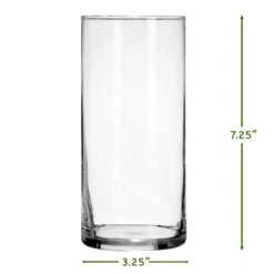 Terrarium Starter Kit + Cylinder Glass -Cute Farms Shop Cute Farms Vase Size