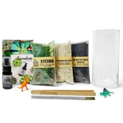 Terrarium Starter Kit + Cylinder Glass