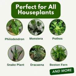 Houseplant Food - Concentrated Fertilizer (16oz) 13 Houseplant Food - Concentrated Fertilizer (16oz) -Cute Farms Shop CuteFarmsConcentratedHouseplantFoodForAllHouseplants