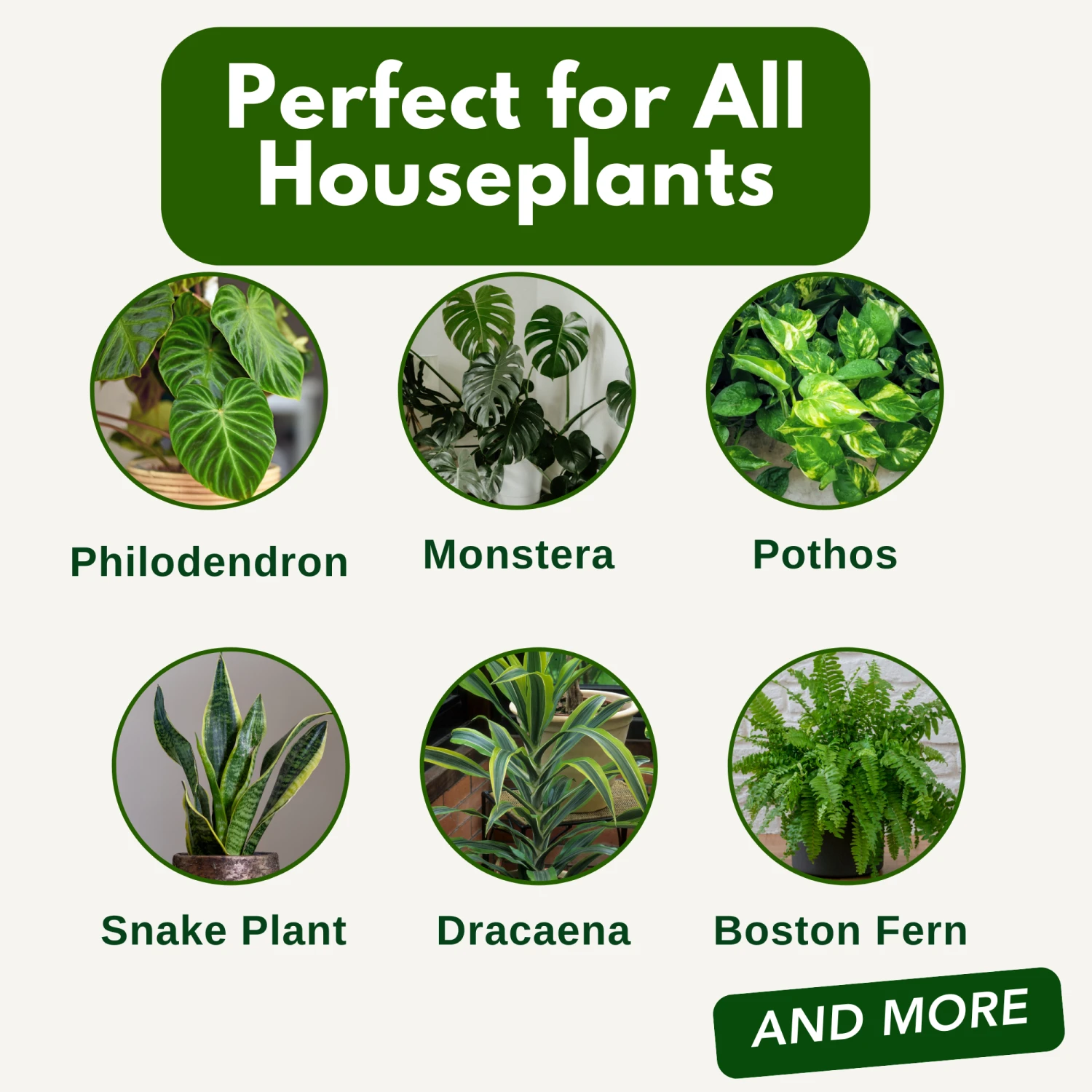 Houseplant Food - Concentrated Fertilizer (16oz) 7 Houseplant Food - Concentrated Fertilizer (16oz) - Image 7
