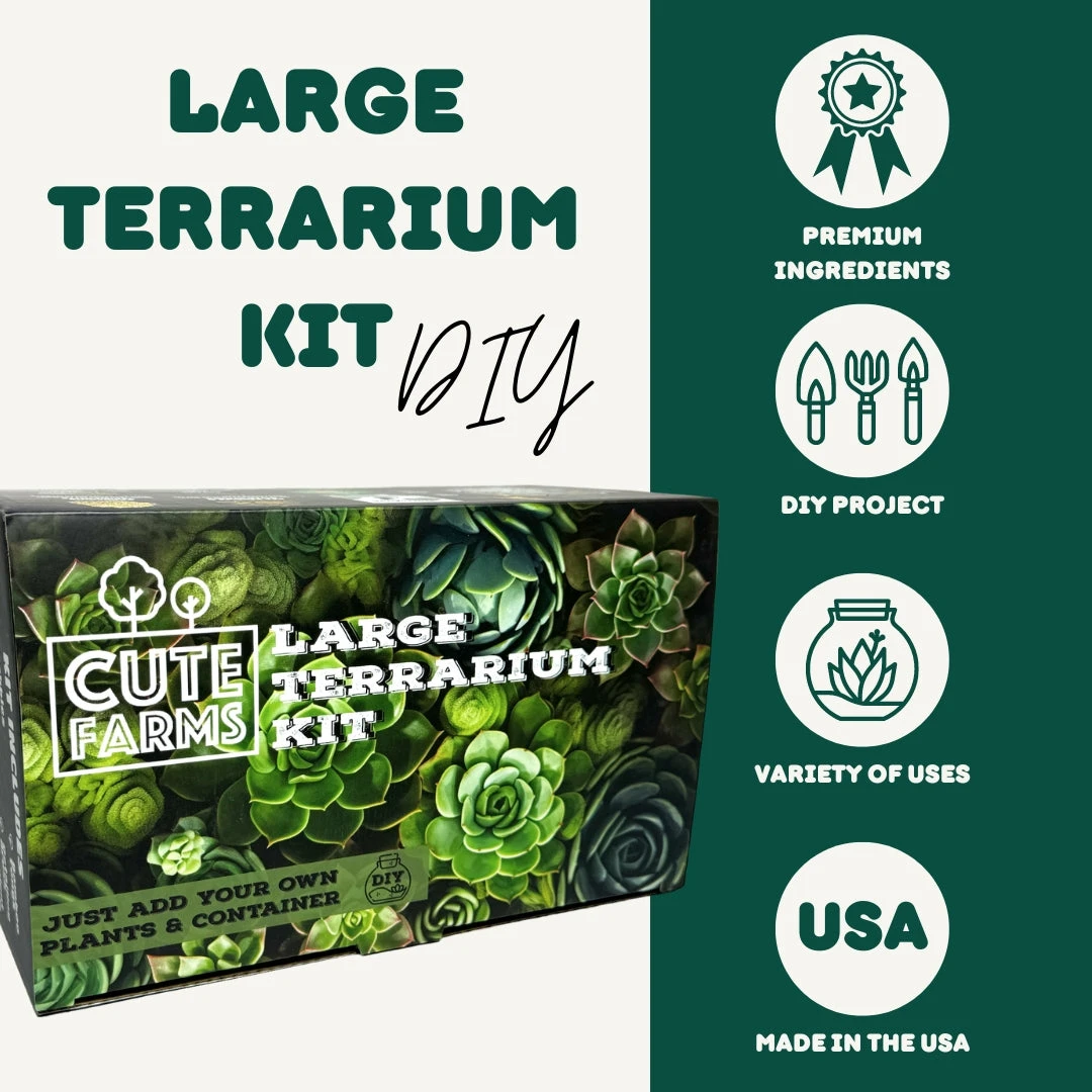 Large Terrarium Starter Kit - Crystal Edition 7 Large Terrarium Starter Kit - Crystal Edition - Image 7