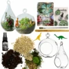 Terrarium Starter Kit + Round And Pear Hanging Glasses -Cute Farms Shop CuteFarmsDIYTerrariumKit RoundandTeardropGlass