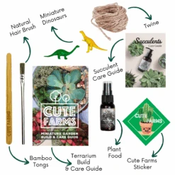 Terrarium Starter Kit + Round And Pear Hanging Glasses 7 Terrarium Starter Kit + Round And Pear Hanging Glasses -Cute Farms Shop CuteFarmsDIYTerrariumKit RoundandTeardropGlass SucculentTerrariumKit