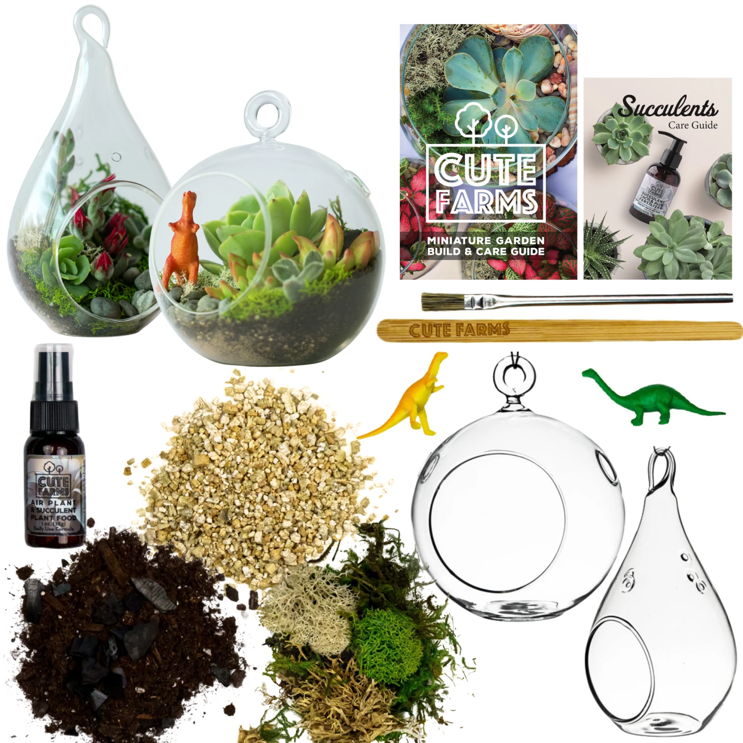 Terrarium Starter Kit + Round And Pear Hanging Glasses 1 Terrarium Starter Kit + Round And Pear Hanging Glasses
