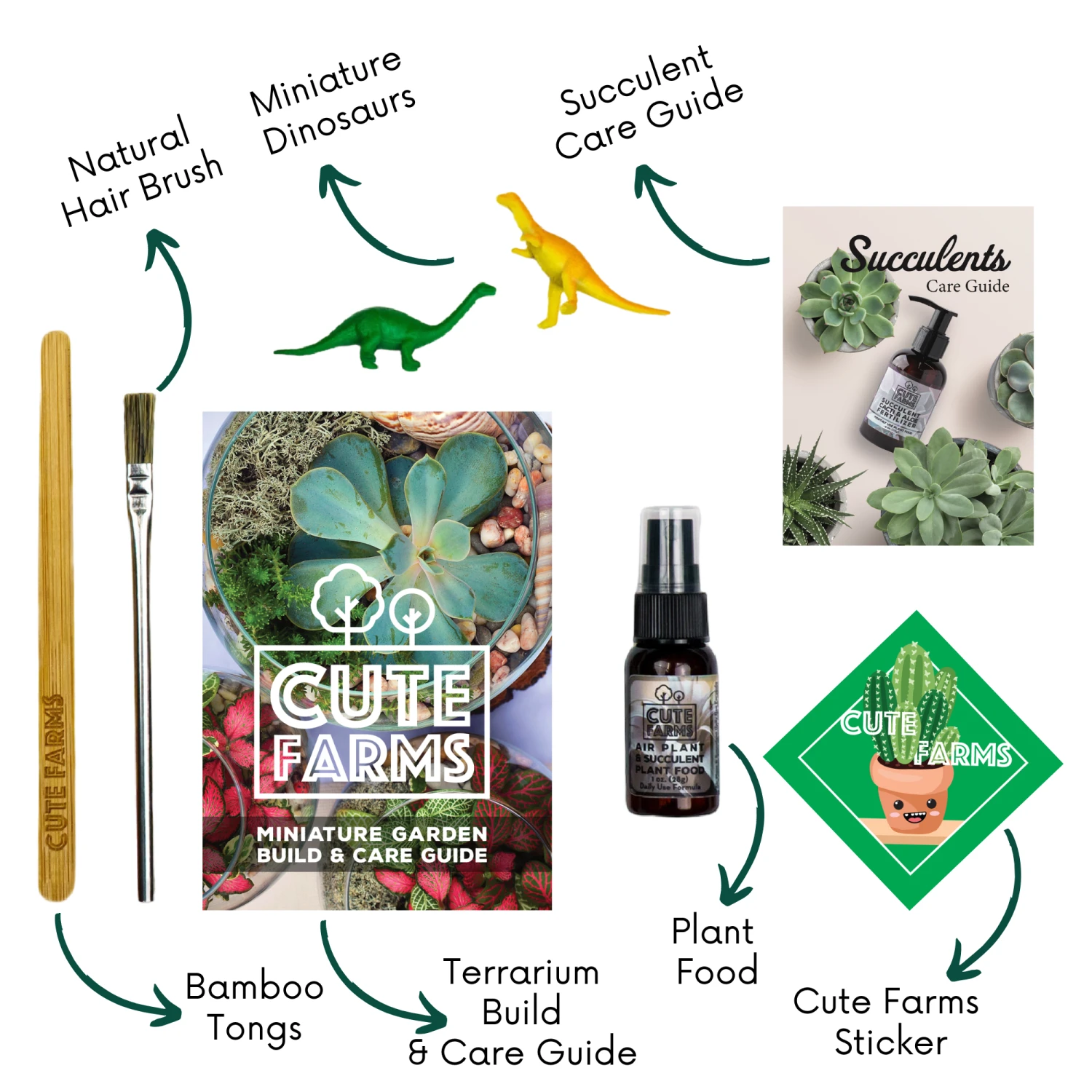 Terrarium Starter Kit + Two Glass Bowls 3 Terrarium Starter Kit + Two Glass Bowls - Image 3