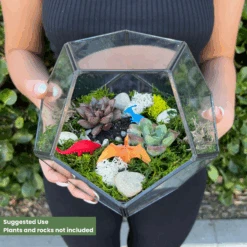 Geometric Glass Terrarium Kit -Cute Farms Shop CuteFarmsGeometricGlassDIYTerrariumKit