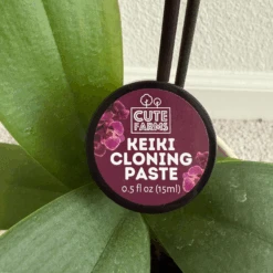Keiki Cloning Paste For Orchids & Houseplants -Cute Farms Shop CuteFarmsKeikiCloningPaste0.5flozforOrchidsandHouseplants