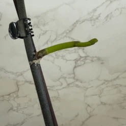 Keiki Cloning Paste For Orchids & Houseplants -Cute Farms Shop CuteFarmsKeikiCloningPaste0.5flozforOrchidsandHouseplants GrowOrchids