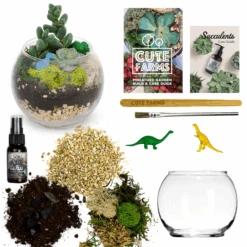Terrarium Starter Kit + Glass Bowl