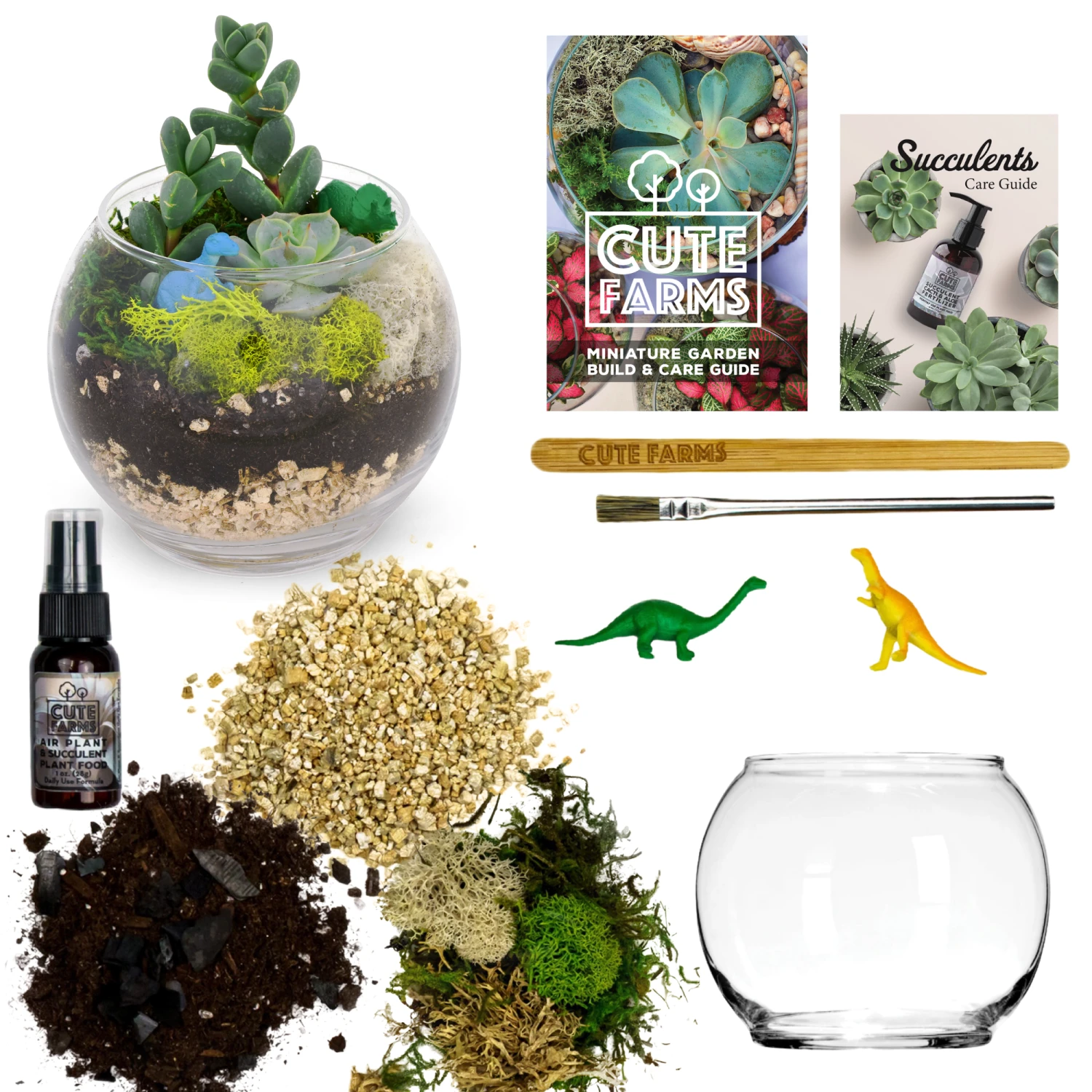 Terrarium Starter Kit + Glass Bowl 1 Terrarium Starter Kit + Glass Bowl