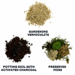 Terrarium Starter Kit + Glass Bowl 10 Terrarium Starter Kit + Glass Bowl -Cute Farms Shop CuteFarmsOneGlassBowlDIYTerrariumMiniatureGardenwithDinosMiniEcosystem b723c616 b269 4e77 b359 5ee0a9e31642