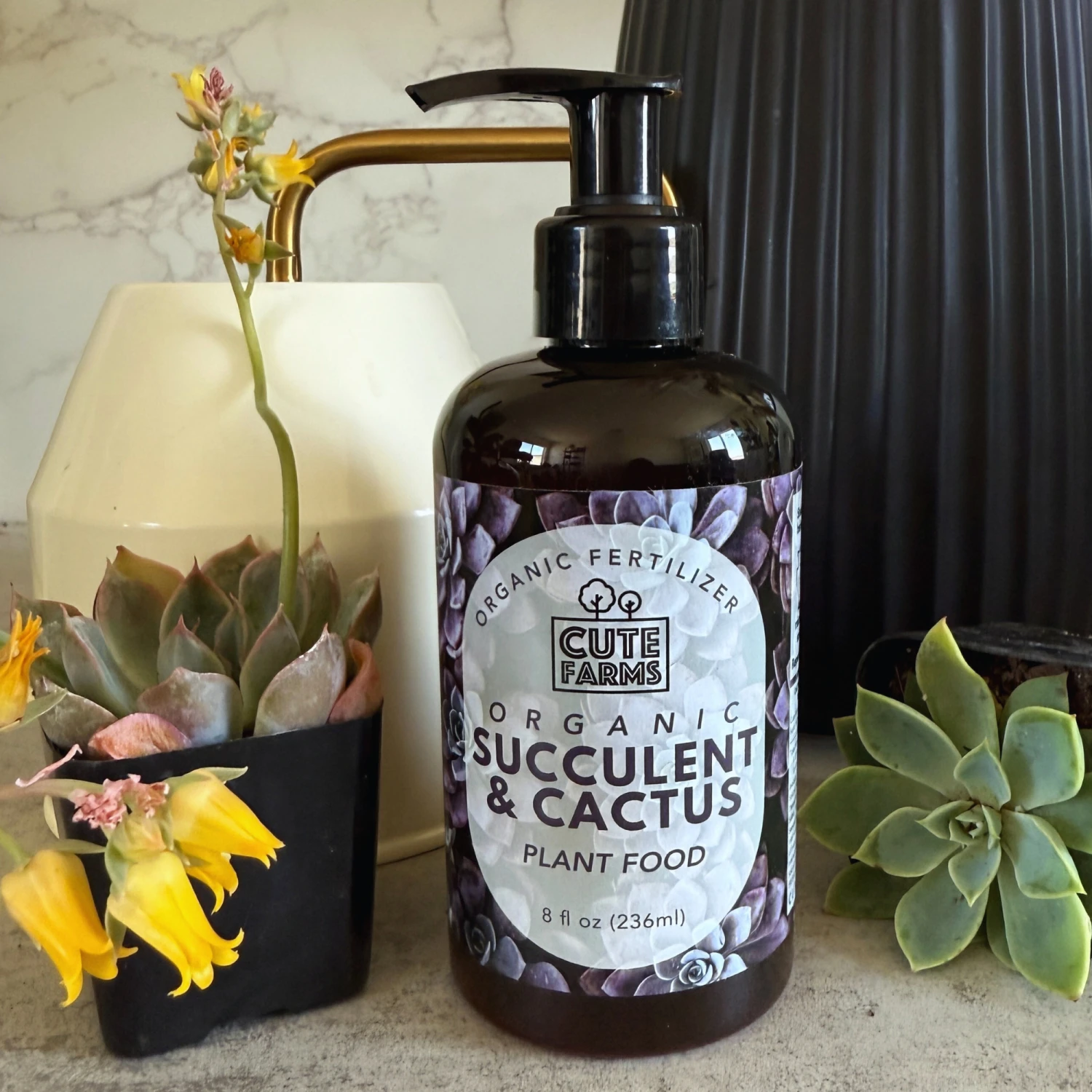 Organic Succulent Plant Food 2 Organic Succulent Plant Food - Image 2