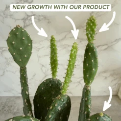 Organic Succulent Plant Food 7 Organic Succulent Plant Food -Cute Farms Shop CuteFarmsOrganicSucculent CactusPlantFoodNewGrowth