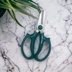 Premium Plant Care Kit -Cute Farms Shop CuteFarmsScissorswithAirPlantPlantFood