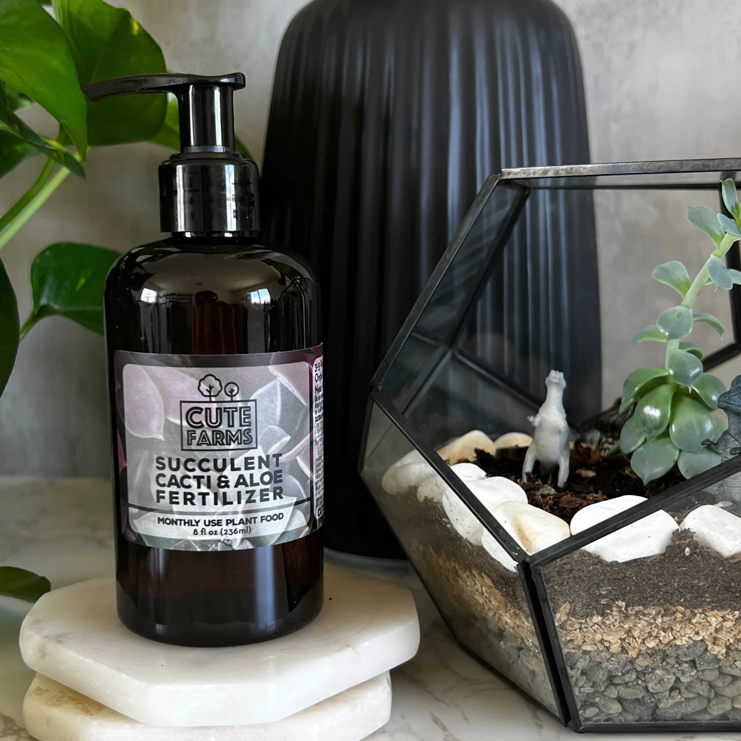 Succulent, Cacti, Aloe Fertilizer - Monthly Use 2 Succulent, Cacti, Aloe Fertilizer - Monthly Use - Image 2