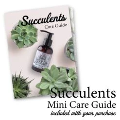 Succulent Starter Kit + Air Plants 14 Succulent Starter Kit + Air Plants -Cute Farms Shop CuteFarmsSucculentPlantFoodCareGuide 05e519a0 8523 4a28 9e80 3401b724394c