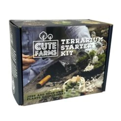 Terrarium Starter Kit