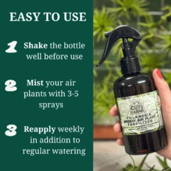 Tillandsia Air Plant Fertilizer - Weekly Use 20 Tillandsia Air Plant Fertilizer - Weekly Use -Cute Farms Shop CuteFarmsTillandsiaAirPlantFertilizerWeeklyUseEasyToUse