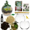 Terrarium Starter Kit + Two Glass Bowls -Cute Farms Shop CuteFarmsTwoGlassBowlDIYTerrariumKit