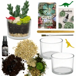 Terrarium Starter Kit + Two Glass Cylinders