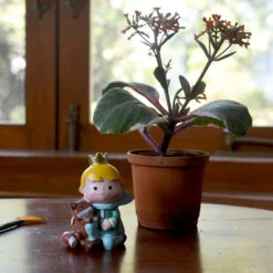 Miniature Prince With Fox – Storybook Resin Decor For Gardens & Gifts 5 Miniature Prince With Fox – Storybook Resin Decor For Gardens & Gifts -Cute Farms Shop Cute Prince with Fox 3