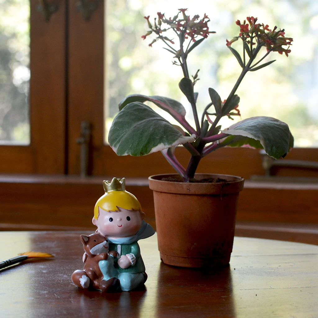 Miniature Prince With Fox – Storybook Resin Decor For Gardens & Gifts 3 Miniature Prince With Fox – Storybook Resin Decor For Gardens & Gifts - Image 3