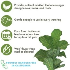 Fiddle Leaf Ficus Lyrata & Fig Tree Fertilizer 14 Fiddle Leaf Ficus Lyrata & Fig Tree Fertilizer -Cute Farms Shop FiddleLeafFicus HandcraftedinCalifornia