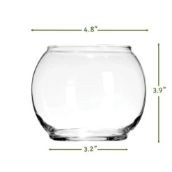 Terrarium Starter Kit + Two Glass Bowls 9 Terrarium Starter Kit + Two Glass Bowls -Cute Farms Shop Glass Bowl Dimensions