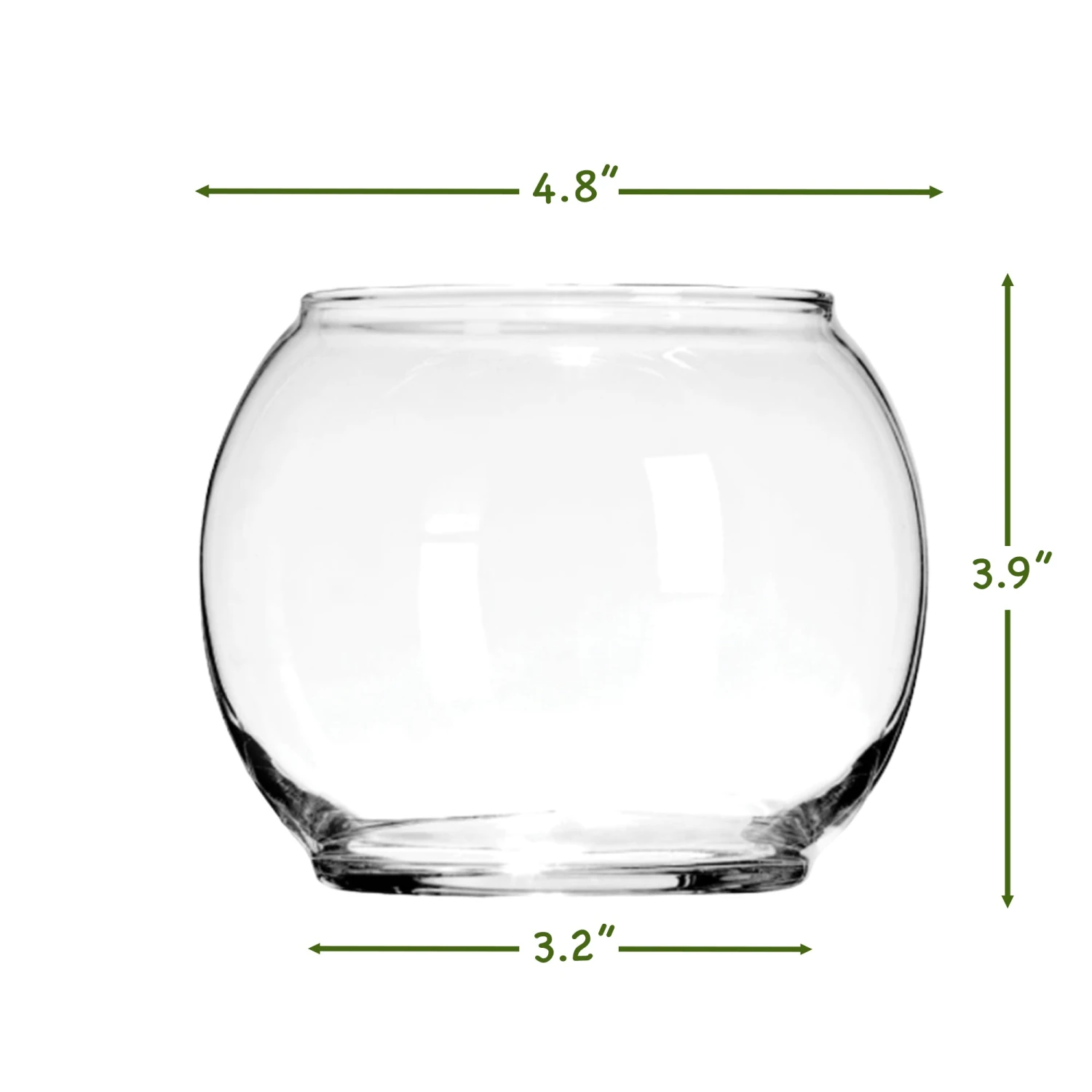 Terrarium Starter Kit + Two Glass Bowls 5 Terrarium Starter Kit + Two Glass Bowls - Image 5