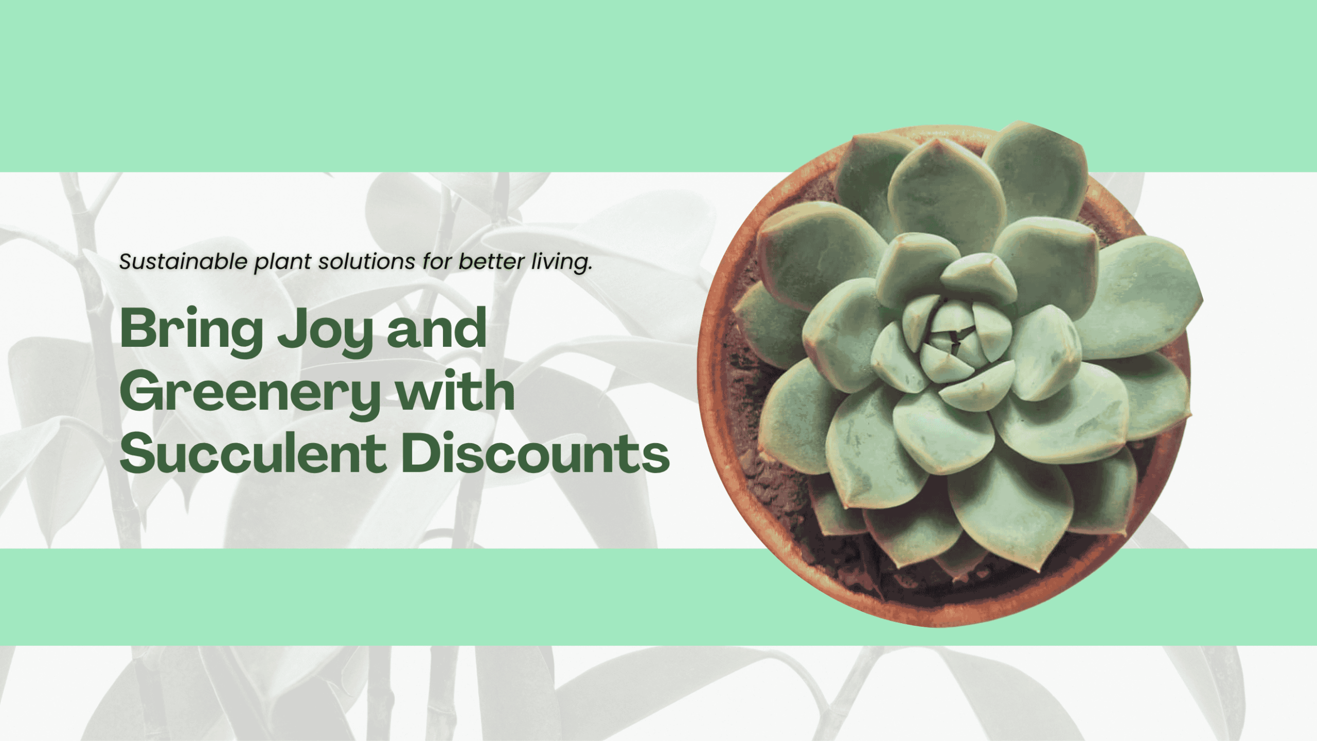 Cute Farms Shop -Cute Farms Shop Green and Brown Modern Plant Sustainability Pitch Deck Presentation scaled