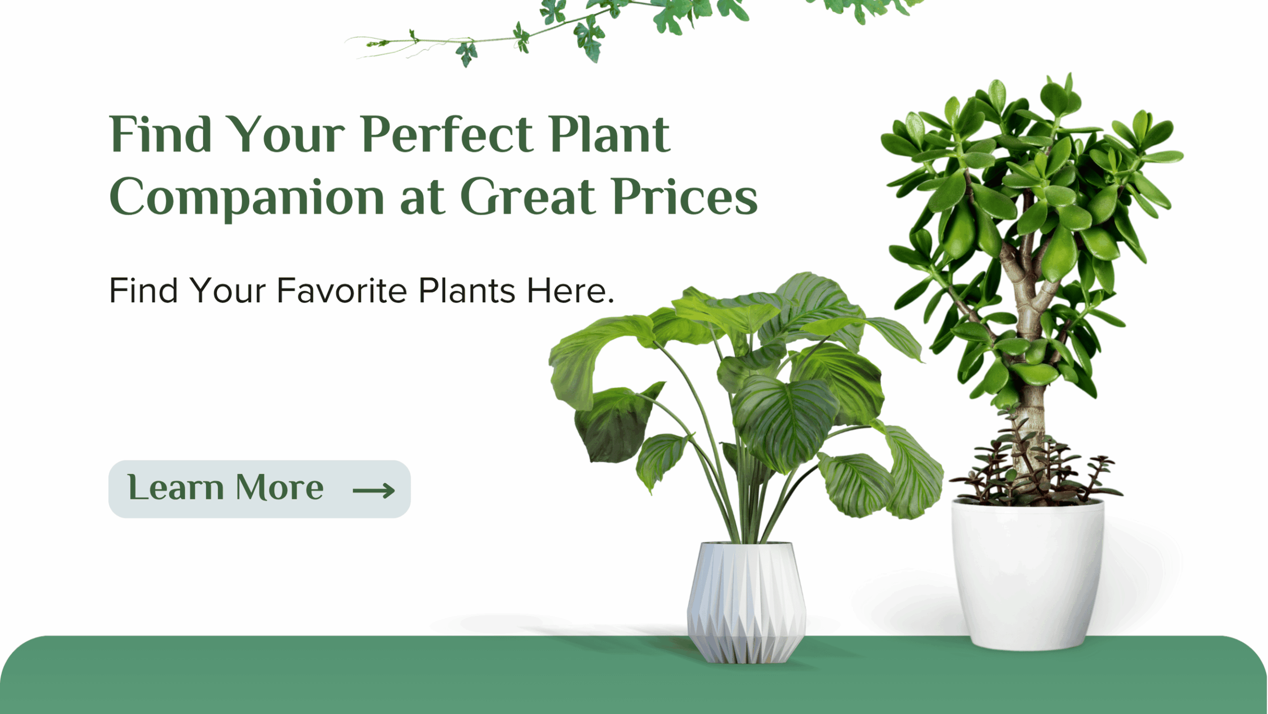 Cute Farms Shop -Cute Farms Shop Green and White Illustrative Plants Store Facebook Cover scaled