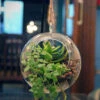 Medium Round Globe Hanging Planter -Cute Farms Shop H07